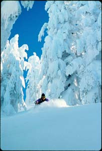 Photo by Kirk DeVoll