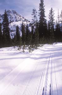 Ski Anthony Lakes Nordic Trails